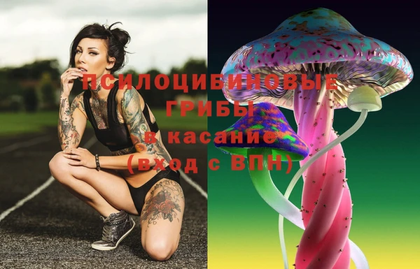 ПСИЛОЦИБИНОВЫЕ ГРИБЫ Аркадак