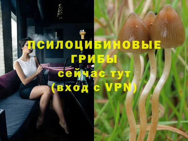 первитин Арсеньев